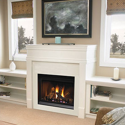 Direct Vent Fireplace
Direct Vent Fireplace